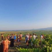apéro vignes au domaine Pradelle
