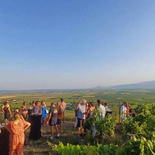 apéro vignes au domaine Pradelle
