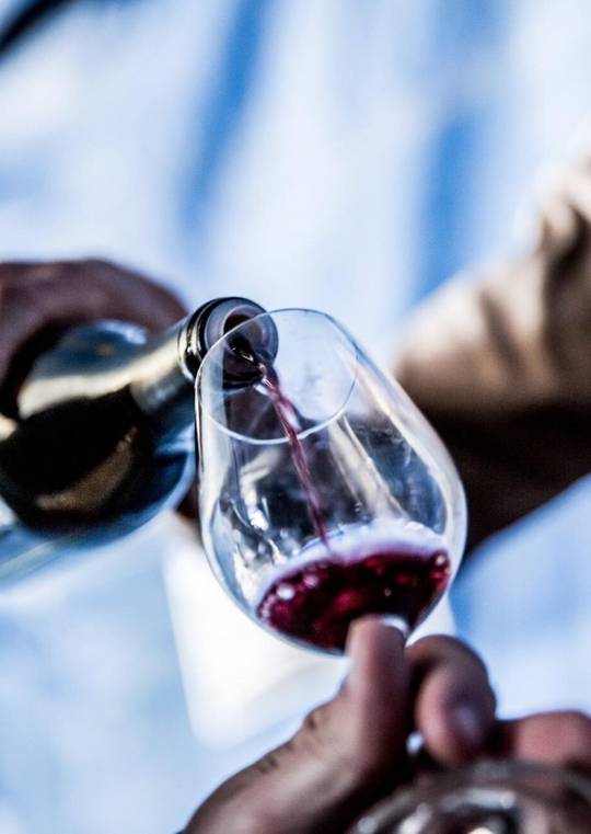 producteurs de vin Bio en Ardèche Hermitage