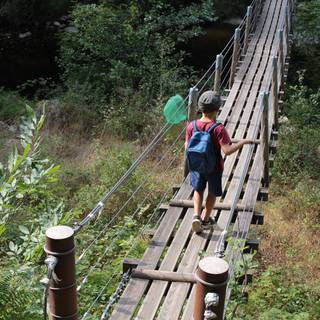 La nature secrète des Gorges de la Daronne
