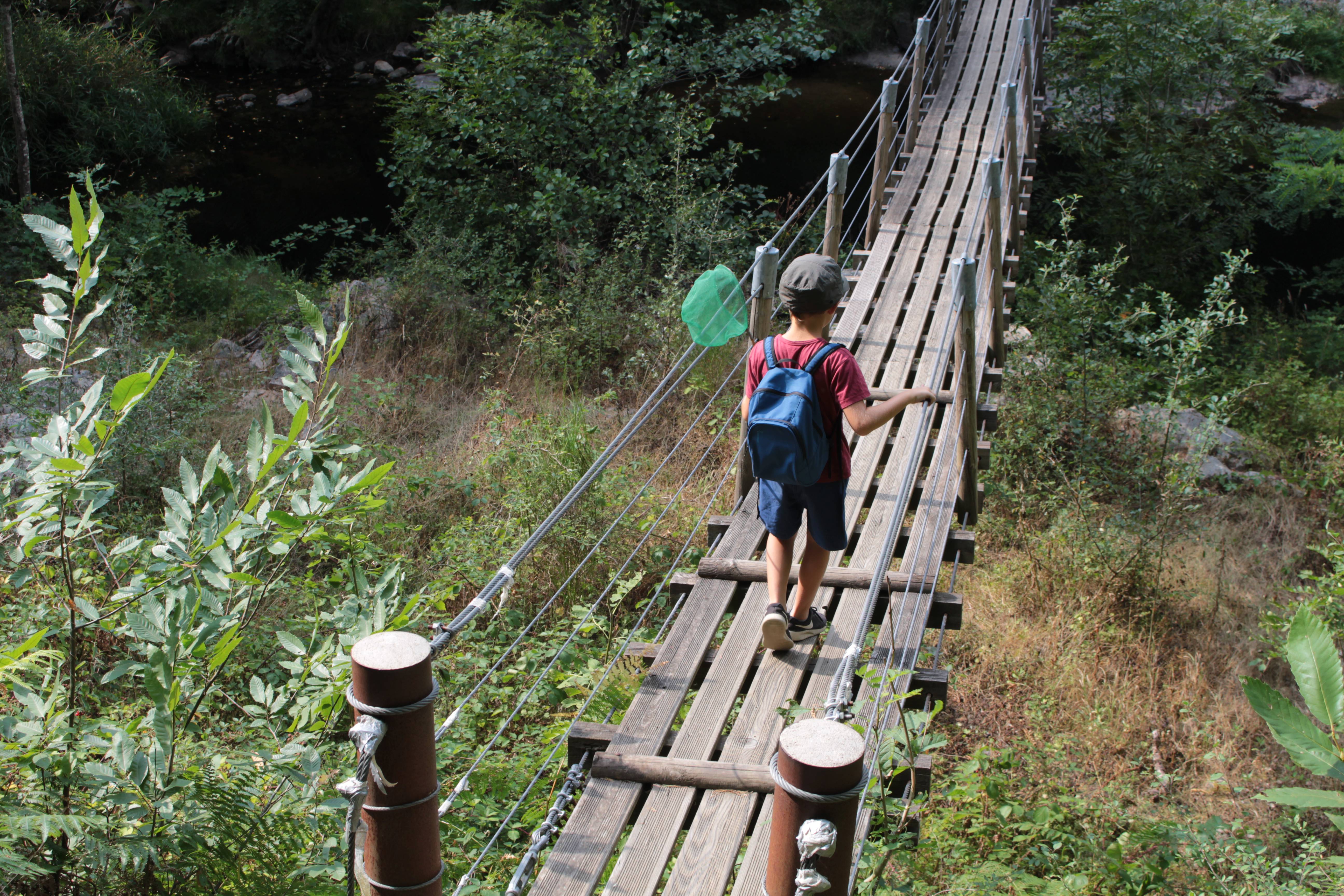 La nature secrète des Gorges de la Daronne