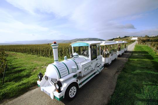 Petit train des vignes de l'Hermitage