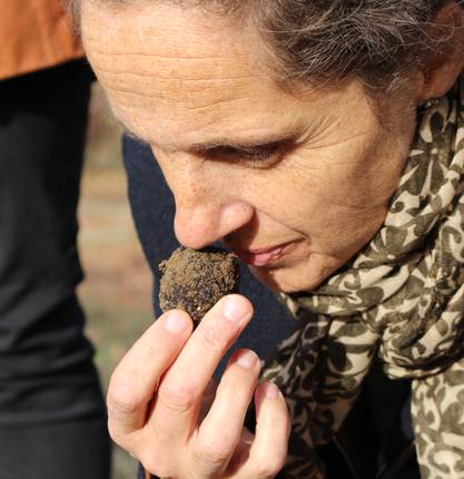 La truffe noire de la Drôme des Collines