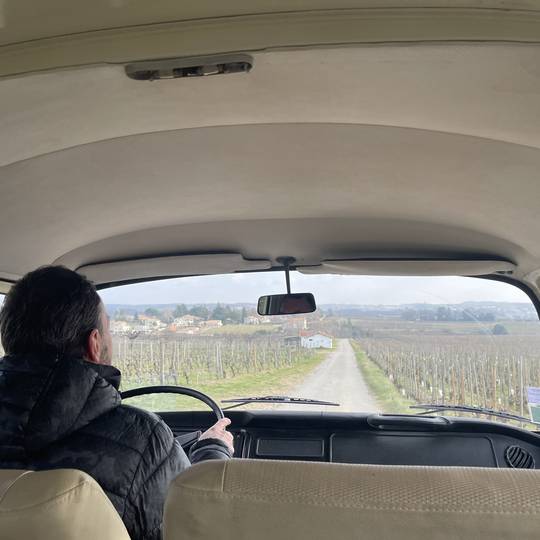 Apéro dans les vignes
