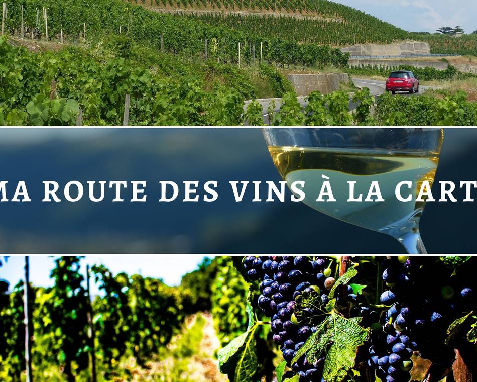 Ma route des vins en Vallée du Rhône : D’Hermitage en Saint Joseph