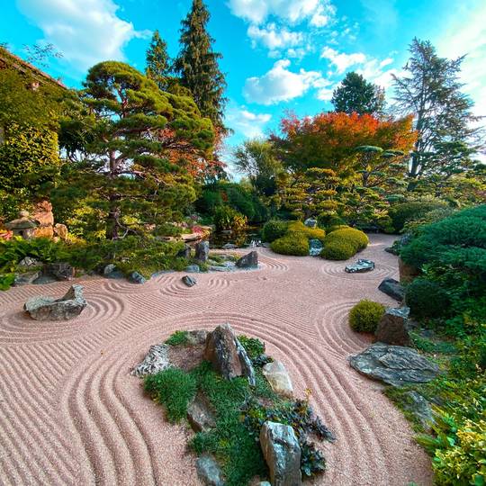 Bouddah au Jardin zen
