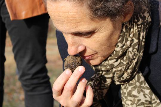 la truffe noire de la Drôme des Collines