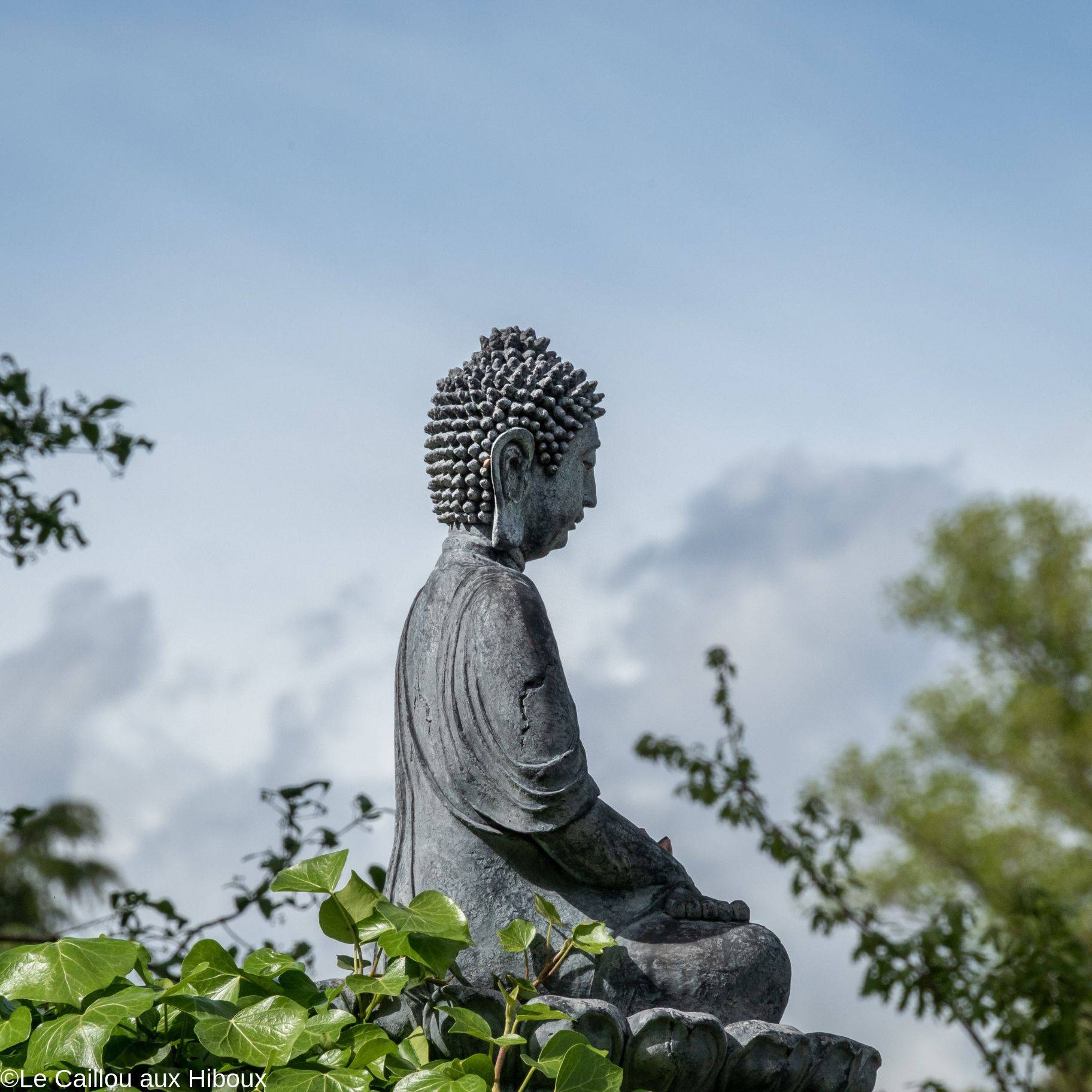 Jardin Zen d'Erik Borja