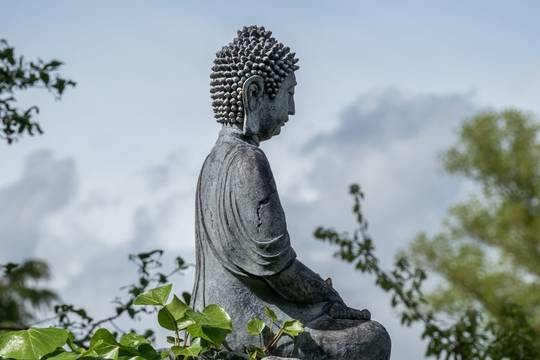 Bouddah au Jardin zen