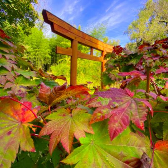 Jardin Zen