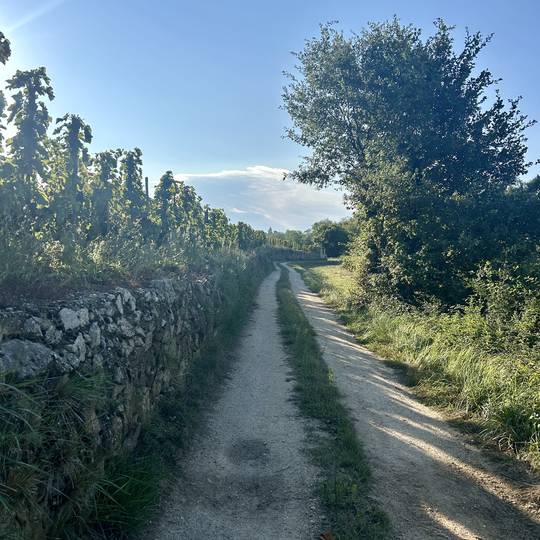 randonnée charmes sur l'herbasse