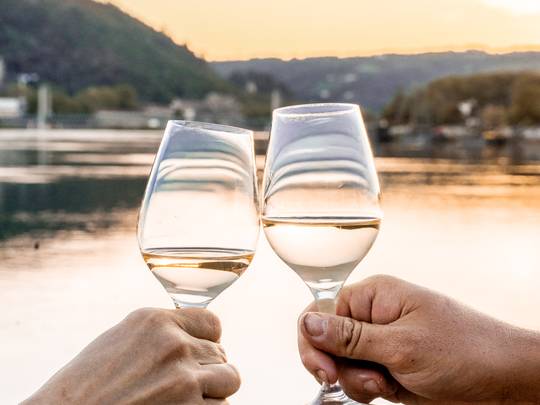 Croisière sur le Rhône avec la Compagnie des Canotiers