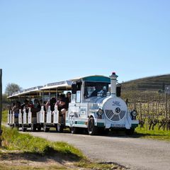 Petit train des vignes Tain l'Hermitage