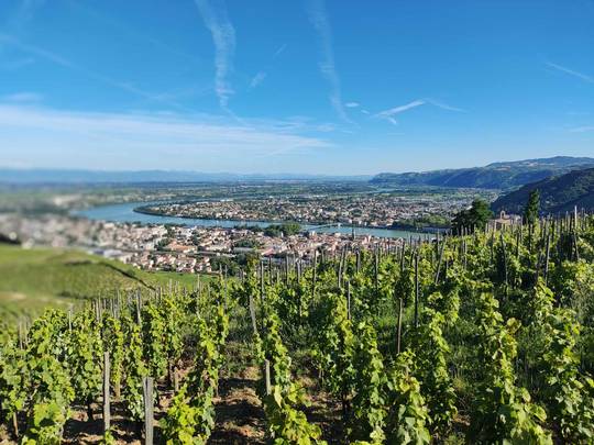 séjour à vélo sur la viarhona gourmande