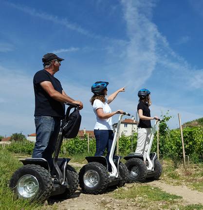 Activités dans les vignes