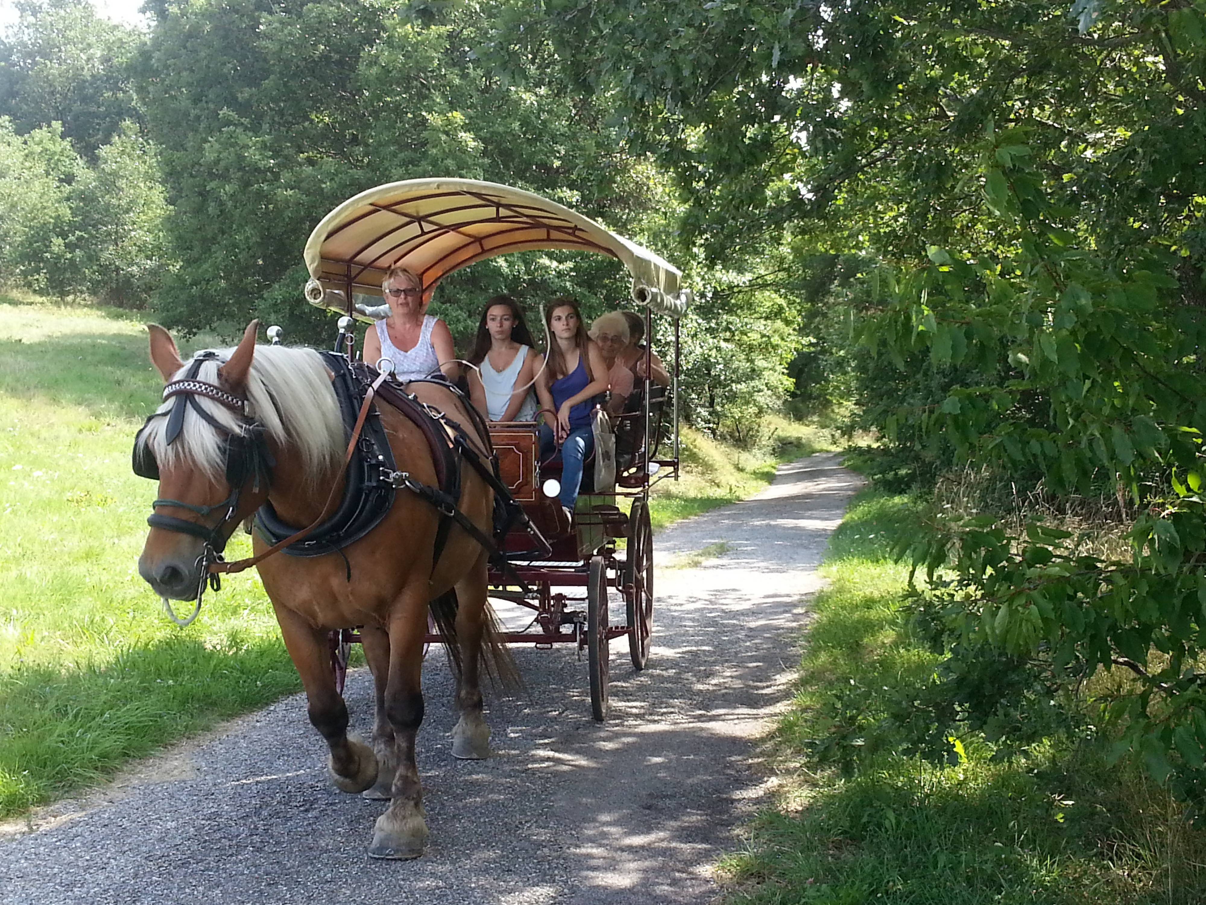 Balade en roulotte en Ardèche Verte