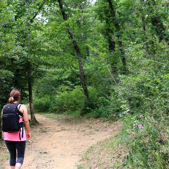 Hike Bren