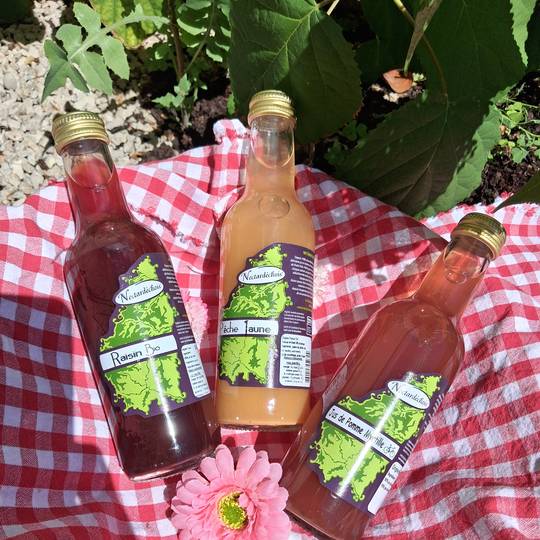 Jus de raisin et peche  bio