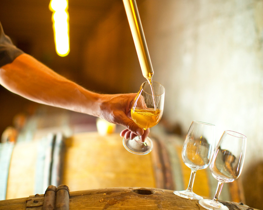 A la rencontre des vignerons de la Vallée du Rhône