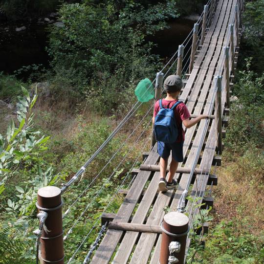 Les gorges de la Daronne