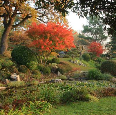 Jardin Zen d'Erik Borja