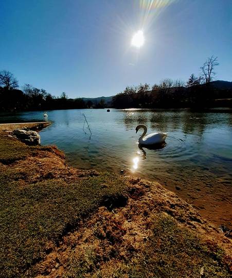 Flâner autour des plans d’eau