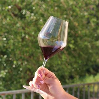 Verre de vin dans les vignes 