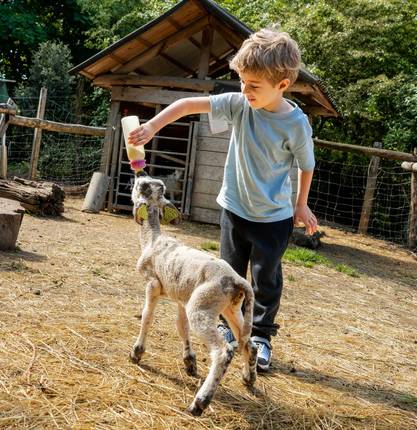 image-1001-cornes-une-ferme-de-sauvegarde