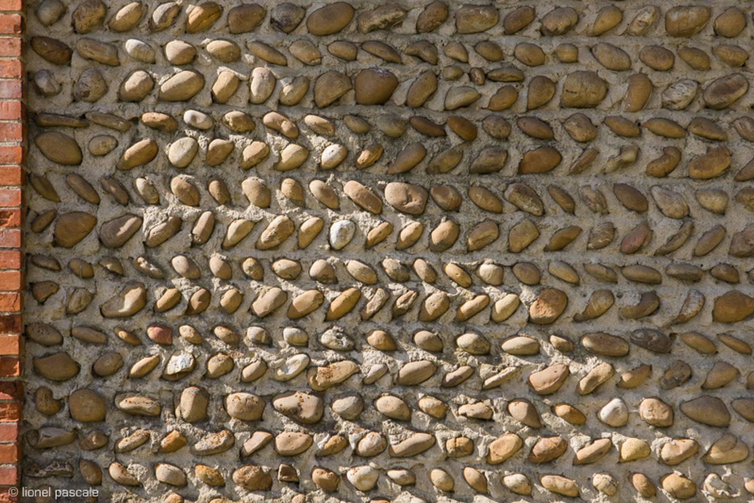 des murs de galets dits « en arête de poisson »