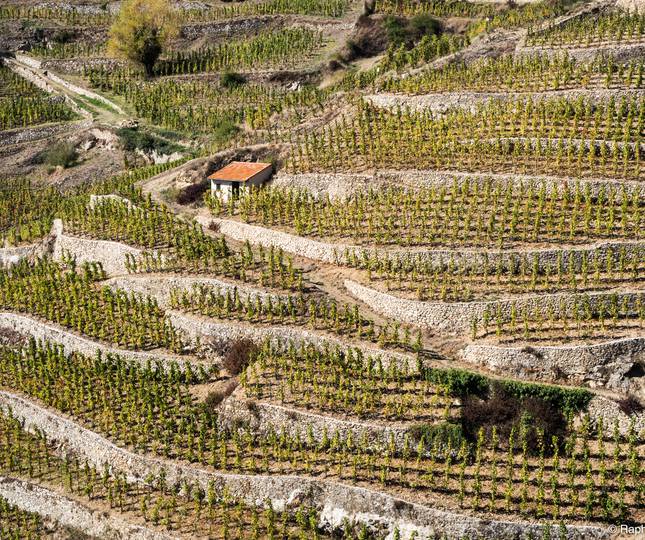 <h2>La Colline de L'Hermitage</h2>