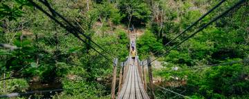 pont en bois