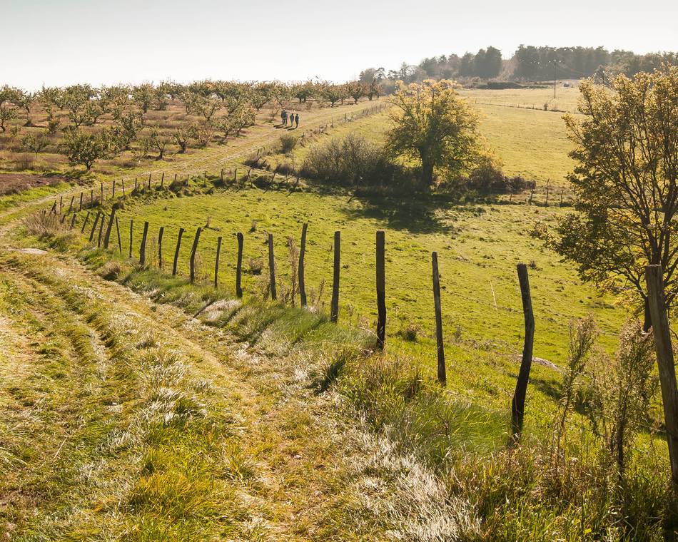 Follow Perrine for a nice hike into the Drôme des Collines