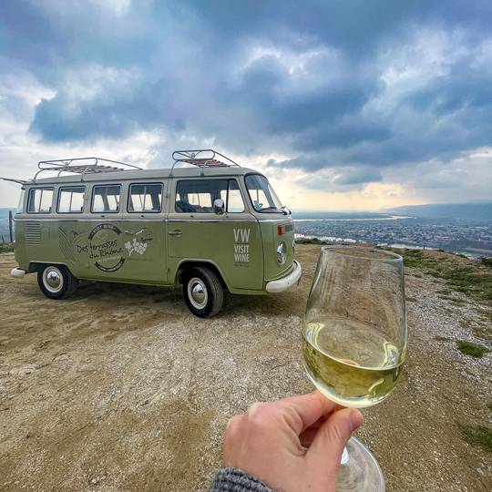 Des terrasses du Rhône au sommelier