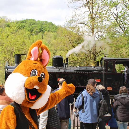 Train de Paques de l'Ardèche