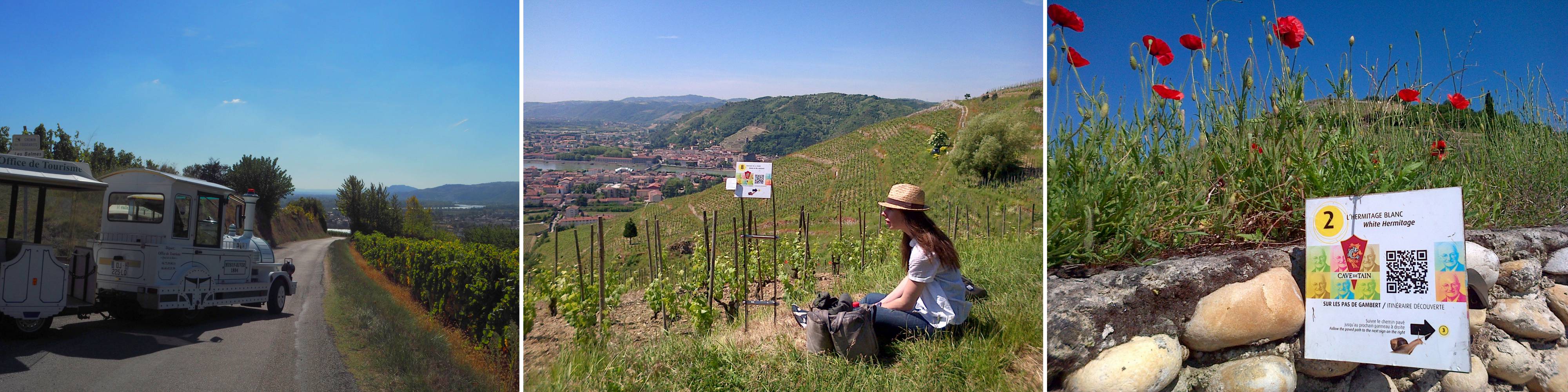 Visiter les vignobles de l'Hermitage