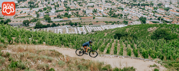 velo dans les vignes