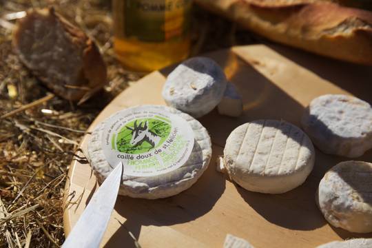 Caillé Doux cheese from Saint Félicien