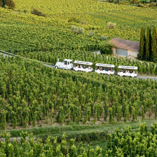 Petit Train des Vignes
