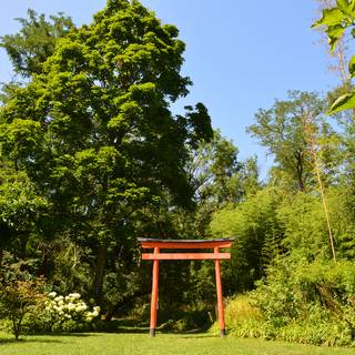 Jardin Zen d'Eric Borja