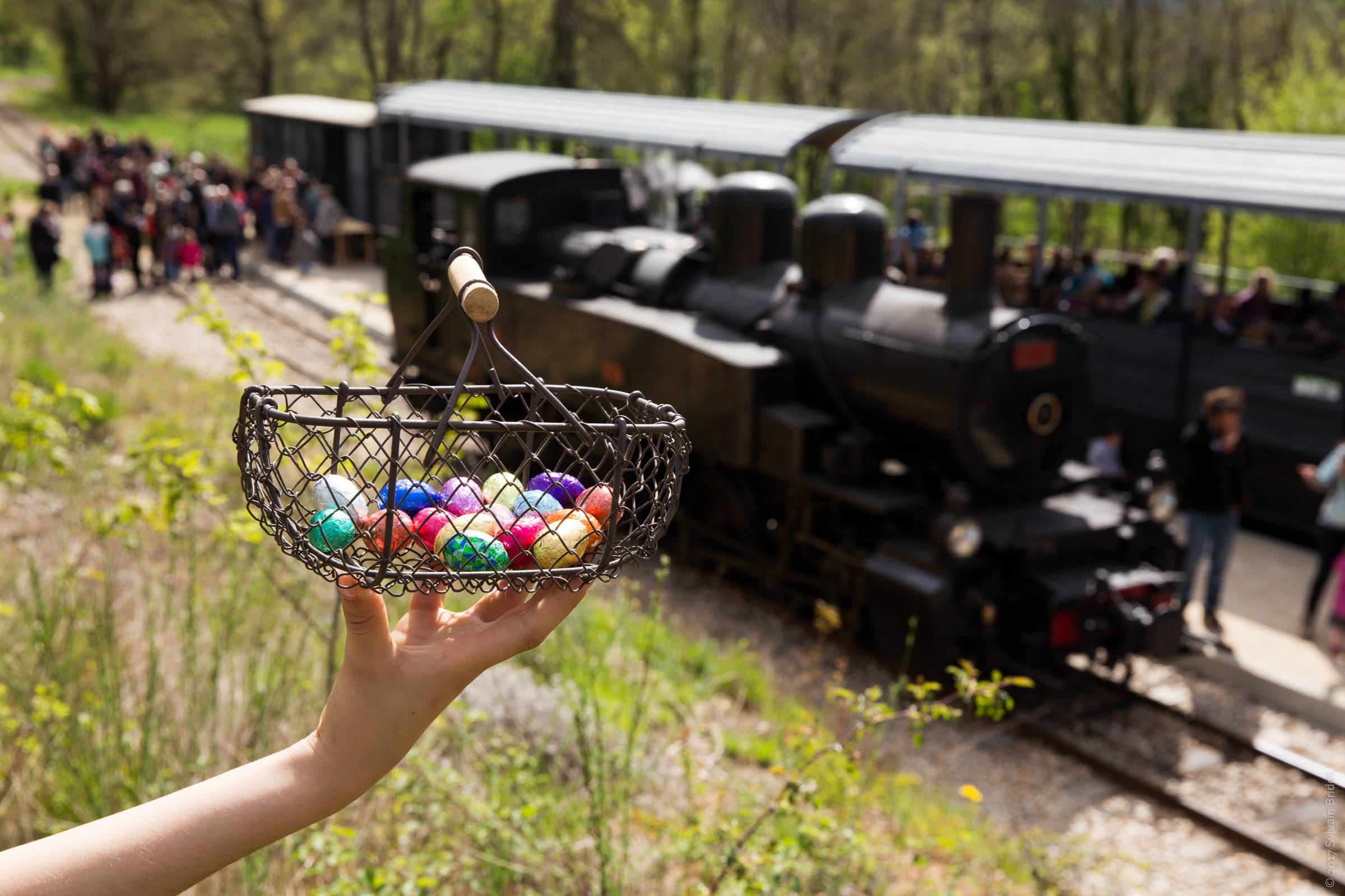 Train des Oeufs