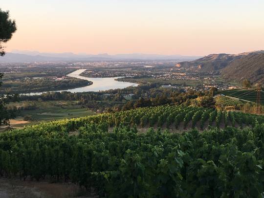 Vignobles de la Vallée du Rhône