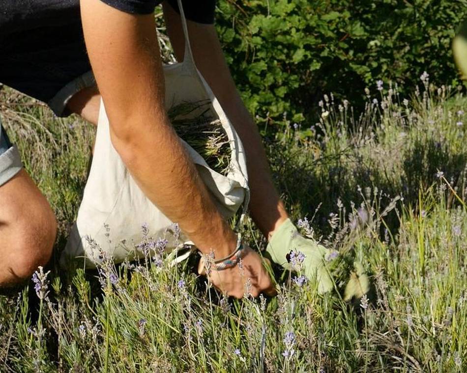 Les nouveautés 2026 en Ardèche Hermitage