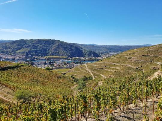 séjour à vélo sur la viarhona gourmande