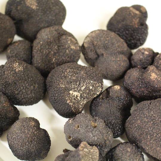 Truffes