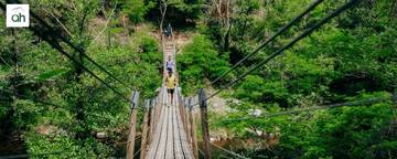 pont en bois