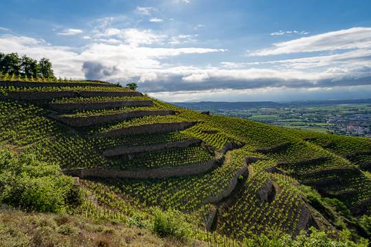 Colline de l'Hermitage