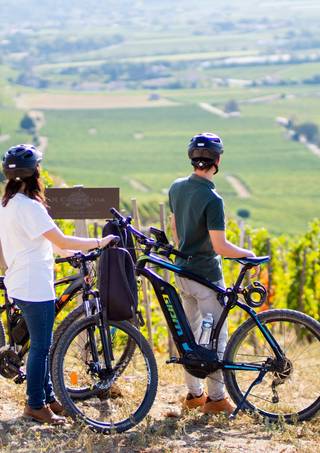 trottinette, balade dans les vignobles