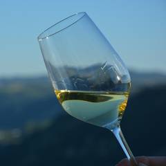 verre de vin blanc