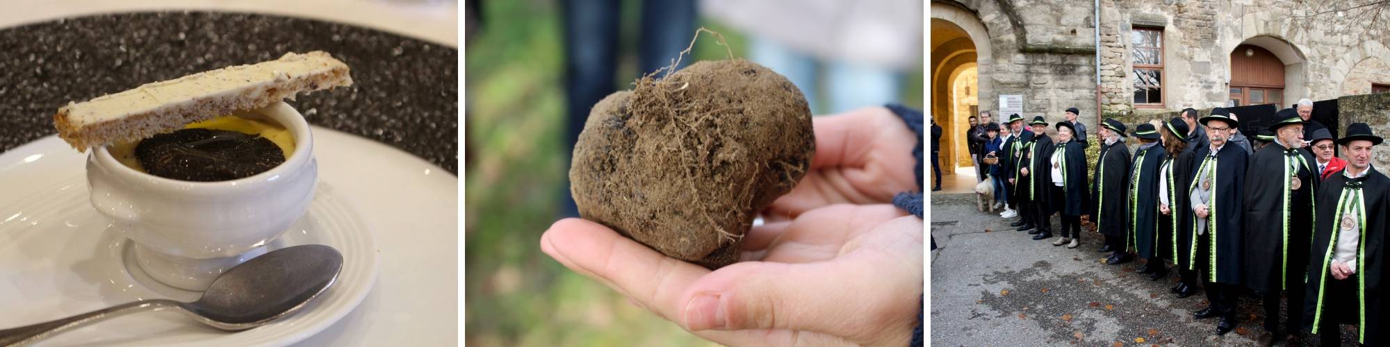 la truffe noire de la Drôme des collines