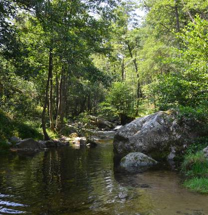 image-au-bord-de-la-riviere-les-pieds-dans-leau